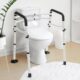 Toilet Safety Rails, Adjustable Toilet Frame for Elderly, Seniors, Handicap & Disabled
